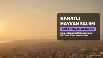 Kene ile mücadelede yeni adım: 51 bin kanatlı doğaya salınacak
