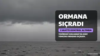 Tekirdağ Malkara'da Anız Yangını Ormana Sıçradı: 3 Saatte Kontrol Altına Alındı