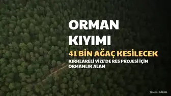 Kuzey Ormanları'nda Rüzgar Enerji Santrali Projesi Kapsamında 41 Binden Fazla Ağaç Kesilecek