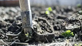 AB'den Gübre Krizine Karşı Yeni Plan: Yerli Üretim ve Çiftçi Desteklenecek