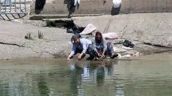 Adana'da Kurban Bayramı'nda Çirkin Görüntüler Ortaya Çıktı