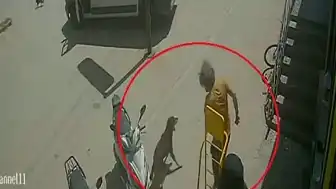 Antalya'da Hayvanlara Eziyet Eden Şahıs Gözaltına Alındı
