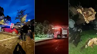 Bartın'da Şiddetli Fırtına: Ağaçlar Devrildi, Araçlar Hasar Gördü