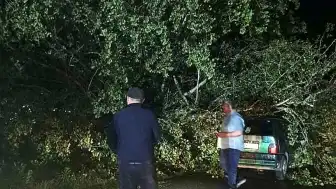 Bartın'da Şiddetli Fırtına: Ağaçlar Otomobillerin Üzerine Devrildi, Maddi Hasar Oluştu