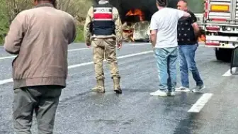 Bitlis-Van Karayolunda Meydana Gelen Trafik Kazasında 2 Kişi Hayatını Kaybetti