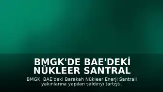 BMGK'de BAE'deki Nükleer Santral Yakınlarına Saldırı Tartışıldı