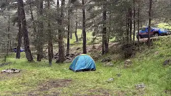 Bolu'da Ormana Yıldırım Düşmesiyle 3 Kişi Yaralandı