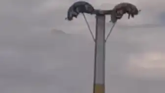 Buca Lunaparkta Bayram Tatilinde İki Ayrı Arıza: Vatandaşlar Yüksekte Mahsur Kaldı