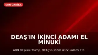 DEAŞ'ın İkinci Adamı El Minuki Nijerya'da Etkisiz Hale Getirildi
