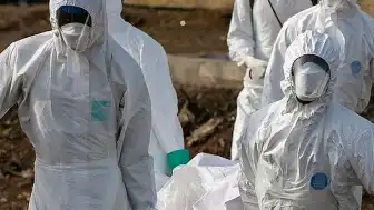 DSÖ'den Ebola Uyarısı: Salgın Yayılma Riski Taşıyor