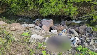 Düzce'de İşlenen Cinayet Şüphelisi Bir Günde Yakalandı