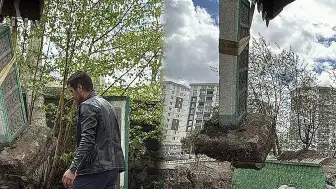 Erzurum'da 700 Yıllık Tarihi Kabristanda Usulsüz Kazı: Mezar Taşları Söküldü
