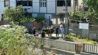 Esenyurt'ta Kurban Kesim Alanı Dışında Kurban Kesimine Cezalar Uygulandı