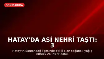 Hatay'da Asi Nehri Taştı: 3 Ölü, 3 Yaralı, 2 Kayıp