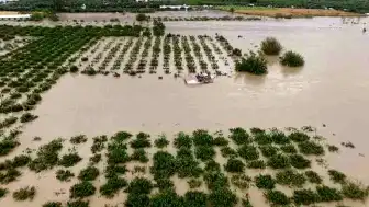 Hatay'da Aşırı Yağışların Ardından Tarım Arazilerindeki Hasar Ortaya Çıktı