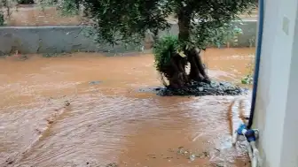 İslahiye'de Sağanak Nedeniyle Taşma Yaşayan Derelerde Temizlik Çalışmaları Başladı