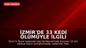 İzmir'de 33 Kedi Ölümüyle İlgili Veteriner Hekim Yeniden Gözaltına Alındı