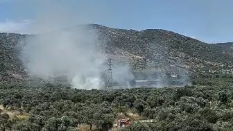 İzmir'in Bayındır İlçesinde Zeytinlik Alanda Yangın Kontrol Altına Alındı