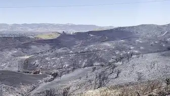 Kaliforniya'da Orman Yangını Günlerdir Sürüyor, Tahliye Emri Verildi