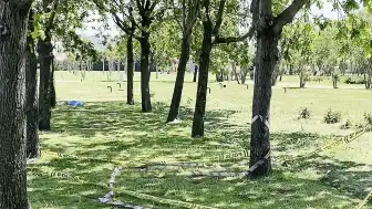 Küçükçekmece'de Polise Silahlı Saldırı Girişimi: Kalaşnikof Ele Geçirildi