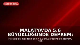 Malatya'da 5.6 Büyüklüğünde Deprem: Prof. Dr. Şener Üşümezsoy'un Tahmini Doğrulandı