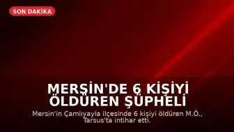 Mersin'de 6 Kişiyi Öldüren Şüpheli İntihar Etti