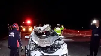 Muş'ta Trafik Kazası: Yola Çıkan Ata Çarpan Otomobildeki 4 Kişi Yaralandı