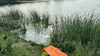 Sakarya'da Gölette Bulunan Cesedin Kimliği Belli Oldu