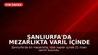 Şanlıurfa'da Mezarlıkta Varil İçinde 21 İnsan Cenini Bulundu