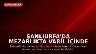 Şanlıurfa'da Mezarlıkta Varil İçinde Cenin Bulundu