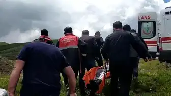 Sivas'ta Mantar Toplarken Ayı Saldırısına Uğrayan Vatandaşın Parmağı Koptu