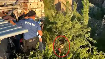 Tedaviyi Reddedip Kaçan Şahıs Dere Yatağındaki Ağaçta Asılı Kaldı