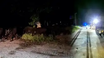 Tokat'ta Sel Riski Nedeniyle Bir Köy Tahliye Ediliyor