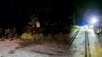 Tokat'ta Sel Riski Nedeniyle Bir Köy Tahliye Ediliyor