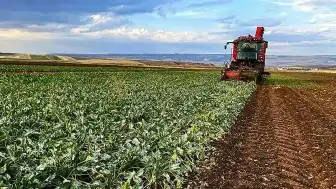 Tokat'ta Sel ve Dolu Afeti Çiftçileri Vurdu: Ziraat Odası Destek Sözü Verdi