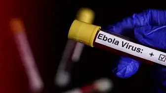 Uganda, Ebola Salgını Nedeniyle Kongo Demokratik Cumhuriyeti Sınırını Kapattı