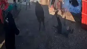 Afyonkarahisar'da Kurbanlık Boğa Saldırısı: 5 Yaralı