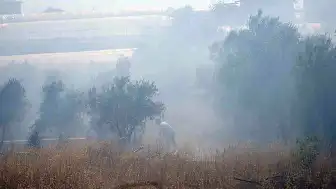 Antalya'da Çıkan Yangın Seralara Ulaşmadan Söndürüldü