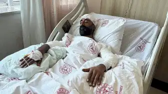 Bingöl'de Mantar Toplarken Ayı Saldırısı: S.Ş. Yaralandı
