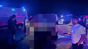 Bingöl'de Trafik Kazası: Ata Çarpan Panelvanın Sürücüsü Hayatını Kaybetti, 2 Kişi Yaralandı