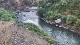 Bitlis Mutki'de Dere Acı Olay: 3 Kardeşten 1'i Öldü, 1'i Kayıp
