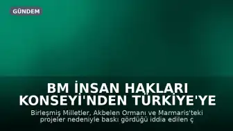 BM İnsan Hakları Konseyi'nden Türkiye'ye Çevre Savunucuları Hakkında Uyarı