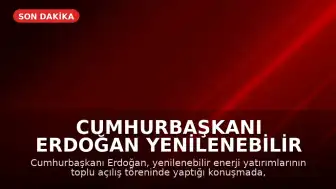 Cumhurbaşkanı Erdoğan Yenilenebilir Enerji Yatırımları Hakkında Açıklamalarda Bulundu