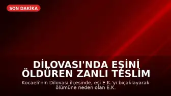 Dilovası'nda Eşini Öldüren Zanlı Teslim Oldu