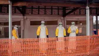 DSÖ'den Ebola Salgını Uyarısı: Virüs Aylar Önce Başlamış Olabilir