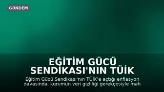 Eğitim Gücü Sendikası'nın TÜİK Davasında 'Veri Gizliliği' Tartışması