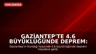 Gaziantep'te 4.6 büyüklüğünde deprem: Yer Bilimci Naci Görür'den uyarı