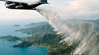 İzlanda'da Erozyonla Mücadelede Kullanılan Alaska Lupini Yeni Bir Ekolojik Krize Yol Açtı