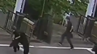 Japonya'da Ayı Saldırıları Nedeniyle Eğitime Ara Verildi