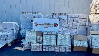 Mersin Limanı'nda Pakistan'dan Gelen Konteynerde Milyonlarca Kapsül İlaç Ele Geçirildi